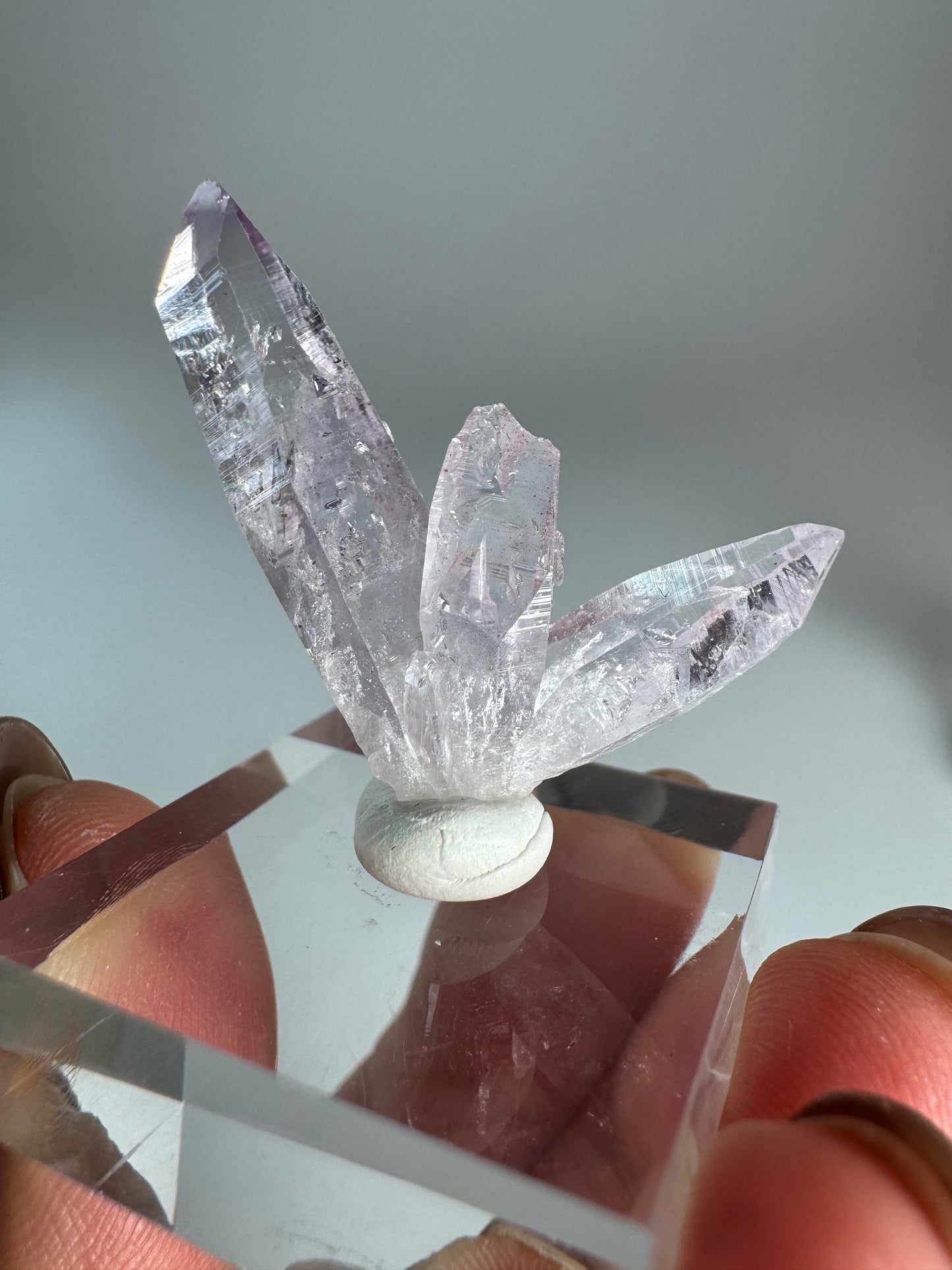 Veracruz Amethyst Fairy Cluster ベラクルスアメジスト