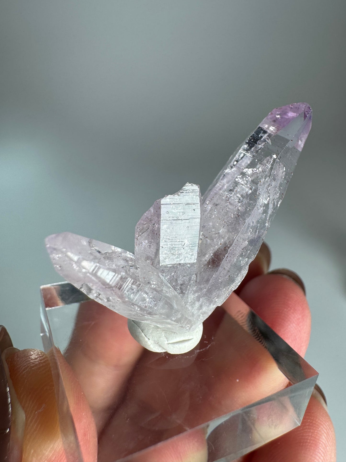 Veracruz Amethyst Fairy Cluster ベラクルスアメジスト