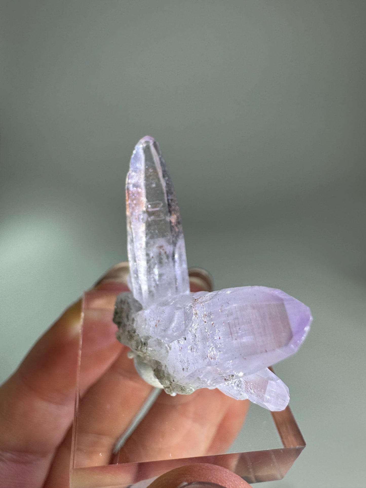 Veracruz Amethyst Fairy Cluster ベラクルスアメジスト
