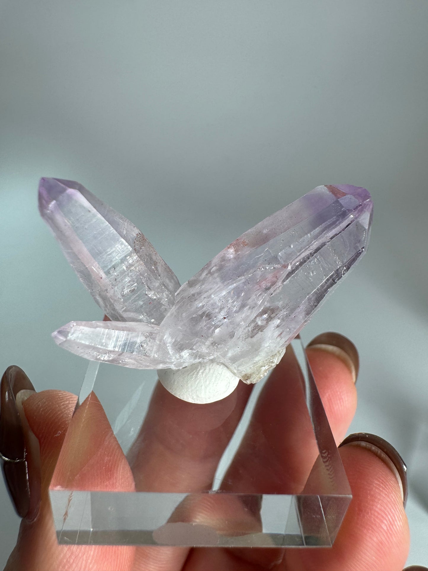 Veracruz Amethyst Fairy Cluster ベラクルスアメジスト