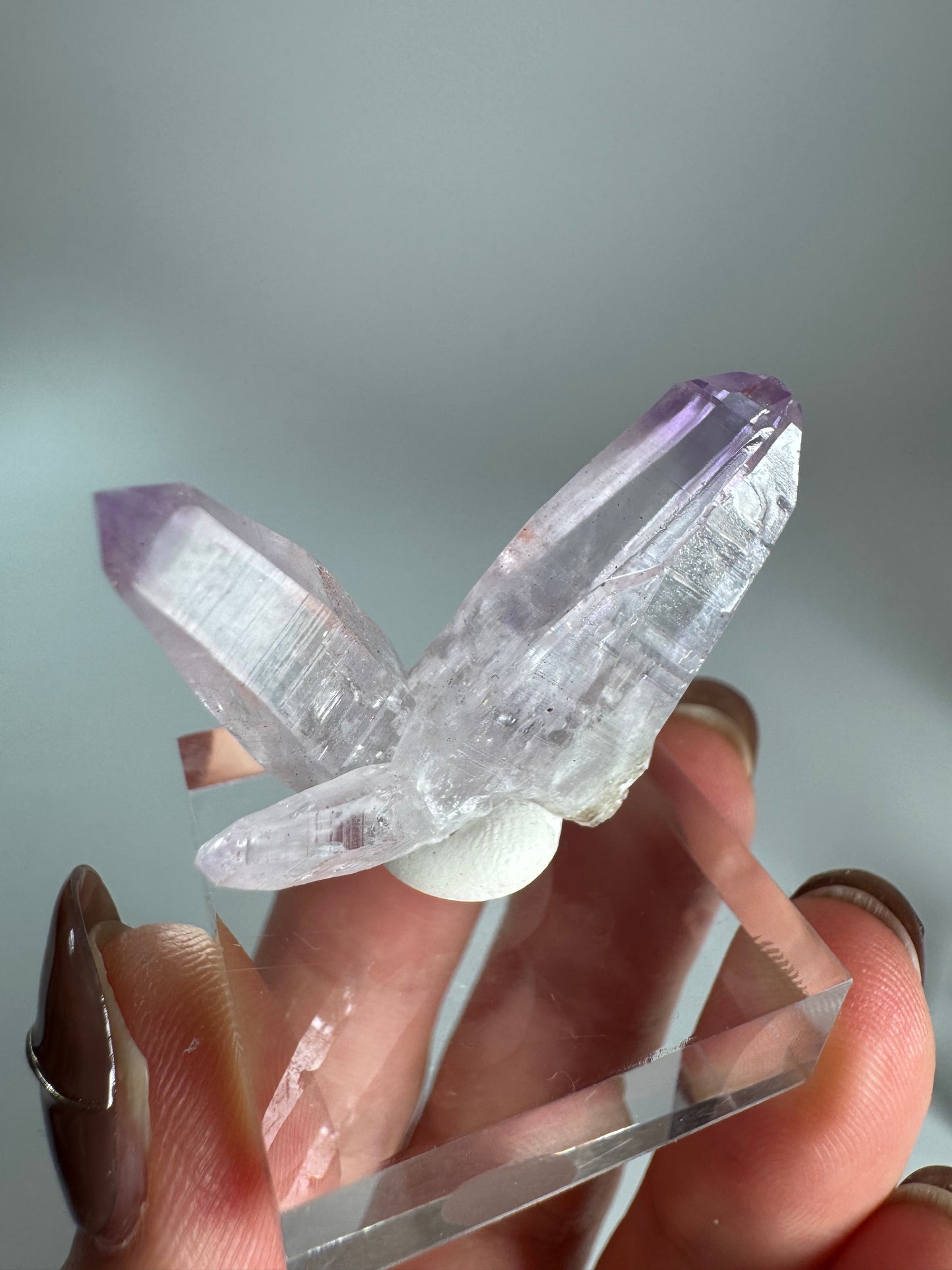 Veracruz Amethyst Fairy Cluster ベラクルスアメジスト