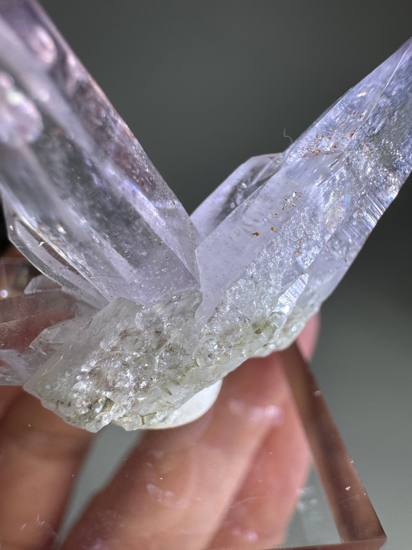 Veracruz Amethyst Fairy Cluster ベラクルスアメジスト