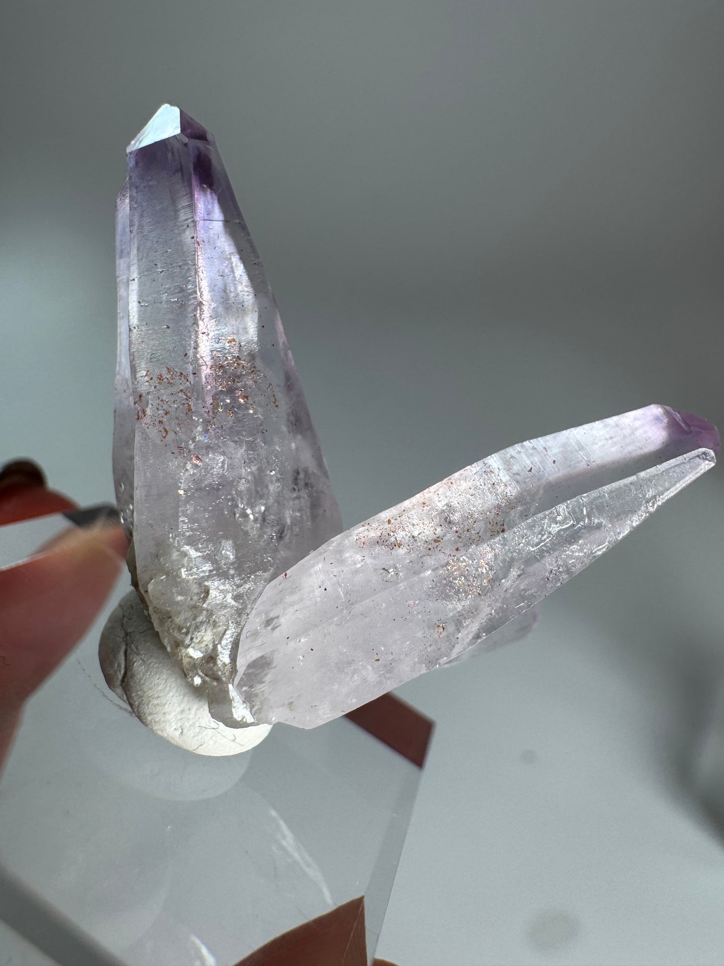 Veracruz Amethyst Fairy Cluster ベラクルスアメジスト